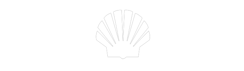 https://mypfundaciones.com/wp-content/uploads/2026/08/shell.png